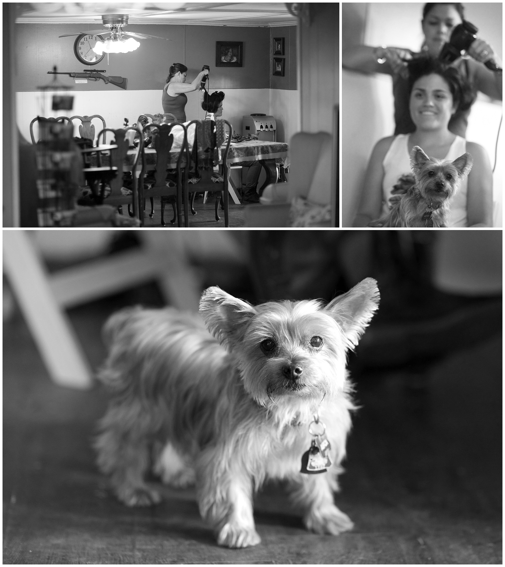 Photos of a bride getting ready and of her dog. 